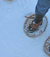 Snowshoeing Image