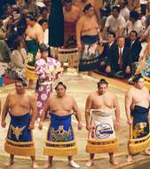 Tokyo sumo  Image