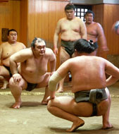 Insider Experience: Sumo stable visit