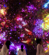 teamLAB - immersive art experience