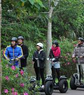 Ishigaki Segway tour  Image