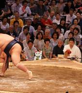 Nagoya sumo 