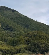 Morning hiking in Tsuwano