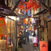 Golden Gai night tour Image