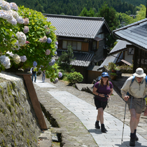 Honshu Hiking Image