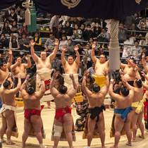 Osaka sumo  Image