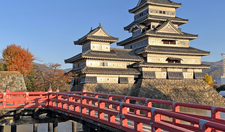 The "black crow" castle