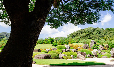 Adachi Museum of Art 