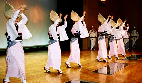 Awa Odori dance festival
