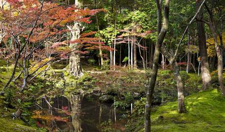 Saiho-ji moss garden