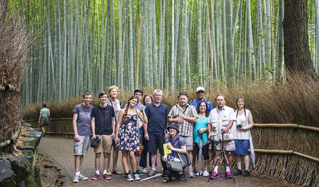 Bamboo groves 