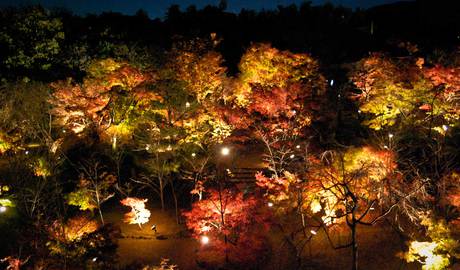 Kyoto lantern illuminations