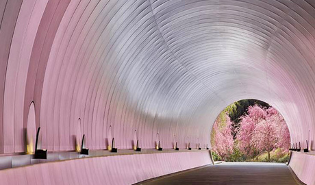 Miho Museum