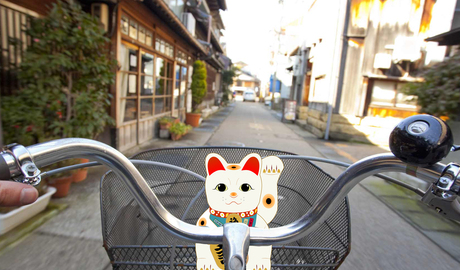 Kyoto cycling city tour 
