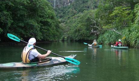 Kayaking through the mangroves  