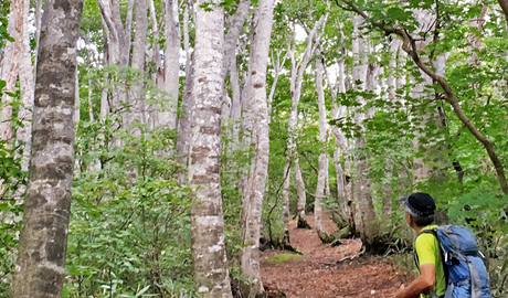 Shin-Etsu Trail hiking