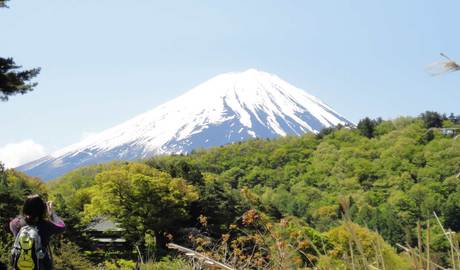 Views of Mount Fuji