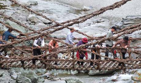 Vine bridges