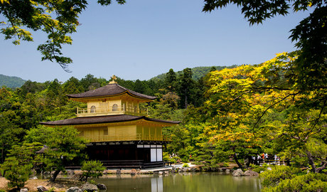 Sightseeing in Kyoto in a wheelchair accessible vehicle