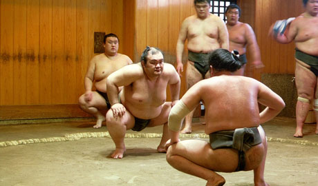 Insider Experience: Sumo stable visit