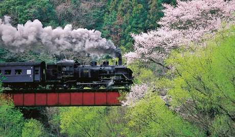 Steam locomotives 