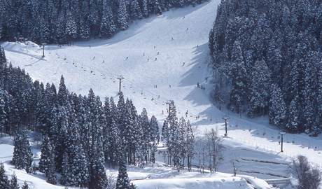 Heli-skiing