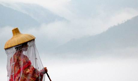Kumano Kodo pilgrimage trails