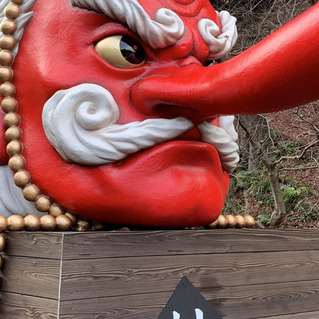 Curious Teens - Japan Family Adventure