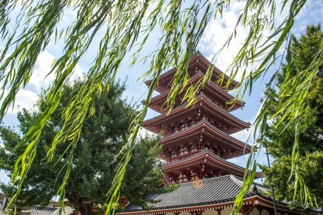 Insider Highlights of Japan 