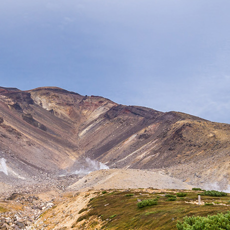 Wild Hokkaido