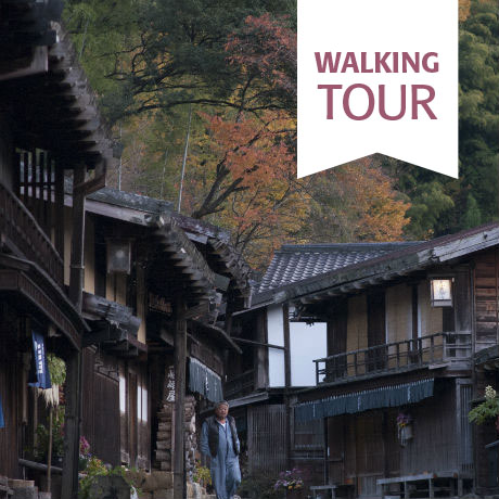 Walking the Nakasendo & Beyond