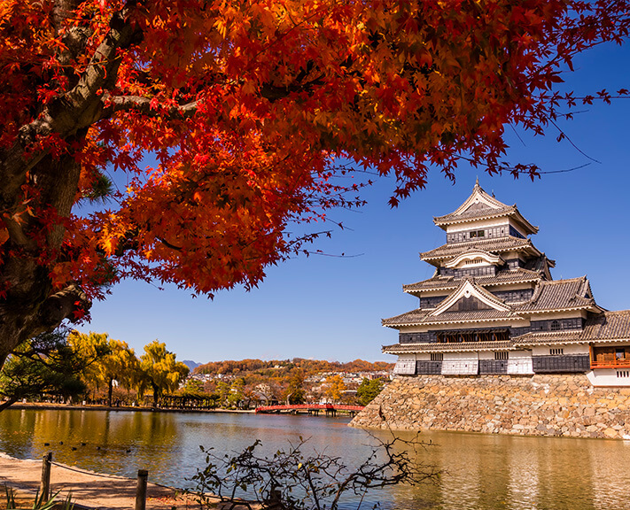 As stunning as spring  just in a different colour scheme. Autumn Elegance combines cities and countryside at a gorgeous time of year. 