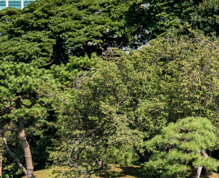 Japan's classic route, designed for families