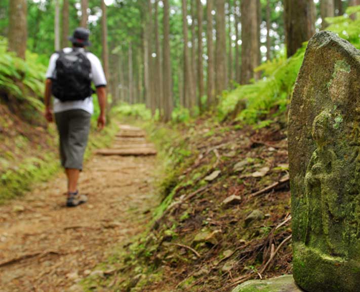A challenging five-night walking module introducing the ancient trails of the Kumano Kodo pilgrimage network.