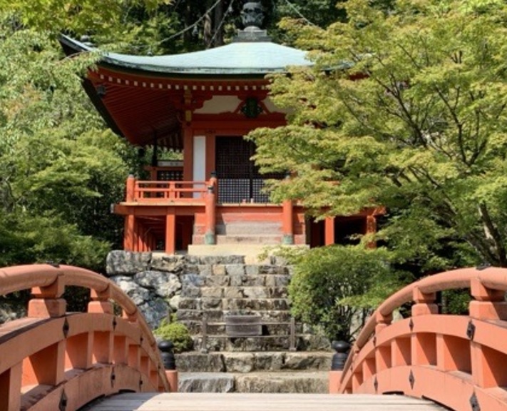 Luxury Japan is our newest superior Small Group Tour. Designed for travellers who want to see Japan's most celebrated sights alongside the lesser-known spots, without compromising on comfort.