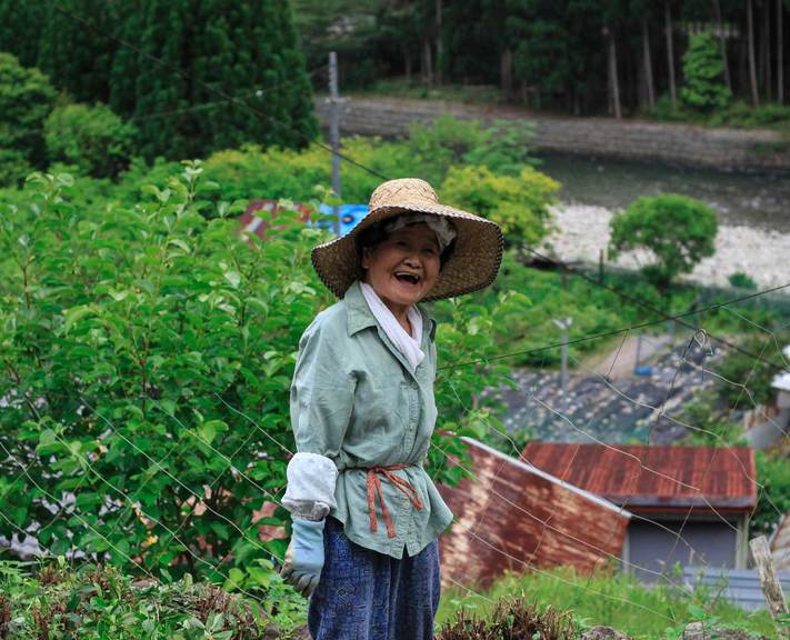 Follow in the footsteps of Japanese royalty as you tread the pilgrimage paths of the Kumano Kodo, with superior accommodation and cuisine included.