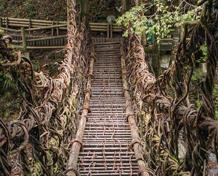 Explore the rural heartlands of Japan whilst helping to sustain unique aspects of Japanese culture and tradition on this classic two-week trip.