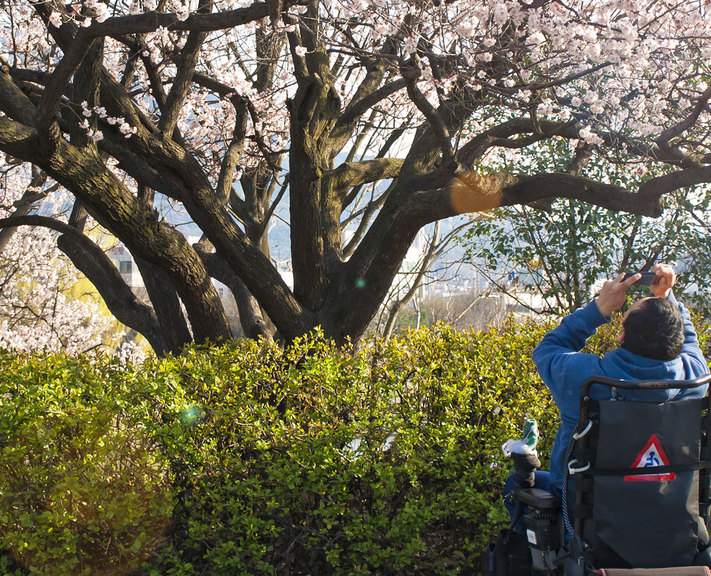 Welcome to one of the most wheelchair-friendly countries in the world. Explore Tokyo, Kyoto, Osaka and more on this exciting 10-night adventure.