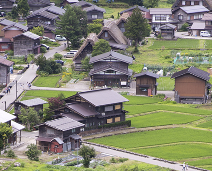 Discover Japan's most important monuments on this superior 17-night trip, including the temples of Nikko, Hiroshima's Peace Park, and Himeji Castle.