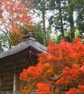 Day 5-6 Hiraizumi