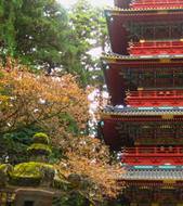 Day 3-4 Nikko