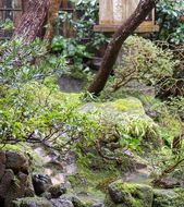 Day 4-5 Kanazawa