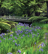 Day 7 Kanazawa