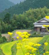 Day 1 Takahara