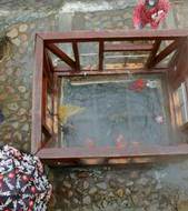 Day 3 Yunomine Onsen