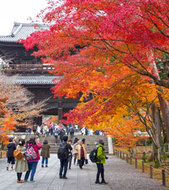 Day 1-3 Kyoto