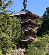 Day 8-10 Kyoto