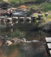 Day 10-11 Nagato Yumoto Onsen